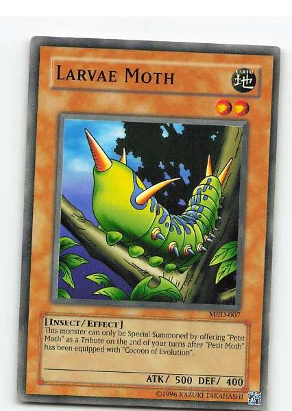 Larvae Moth - MRD-007 #MRD-007