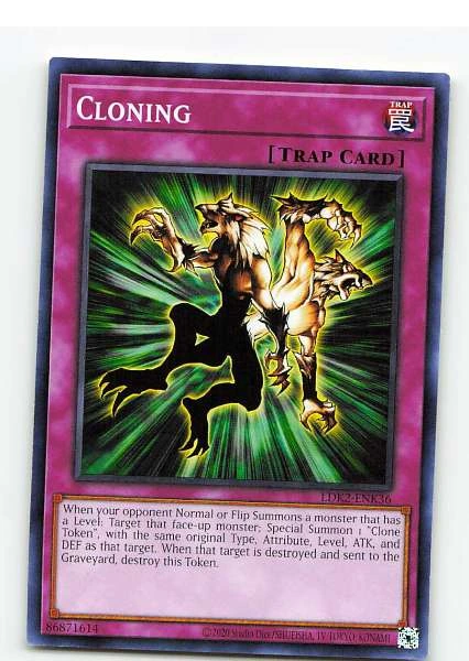 Cloning - LDK2-ENK36 #LDK2-ENK36