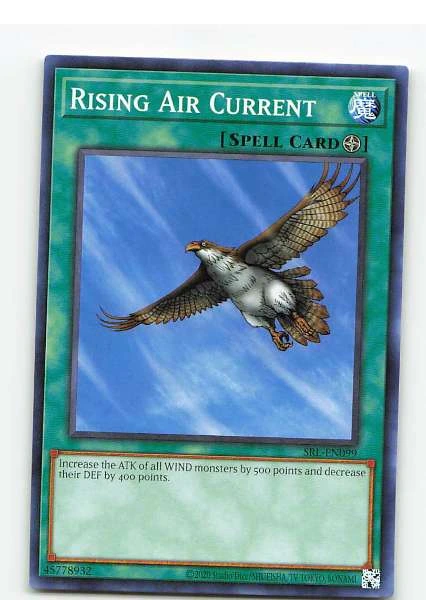 Rising Air Current #SRL-EN099