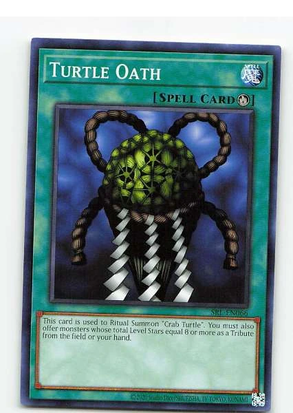 Turtle Oath - SRL #SRL-EN066