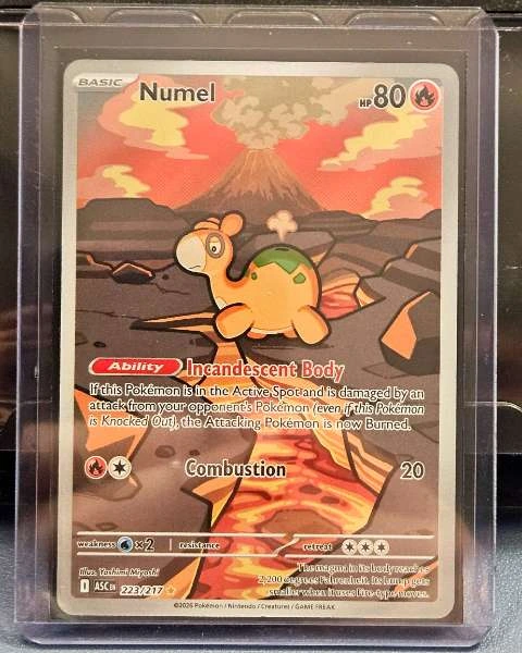 Numel - Illustration Rare Gold Star #223/217