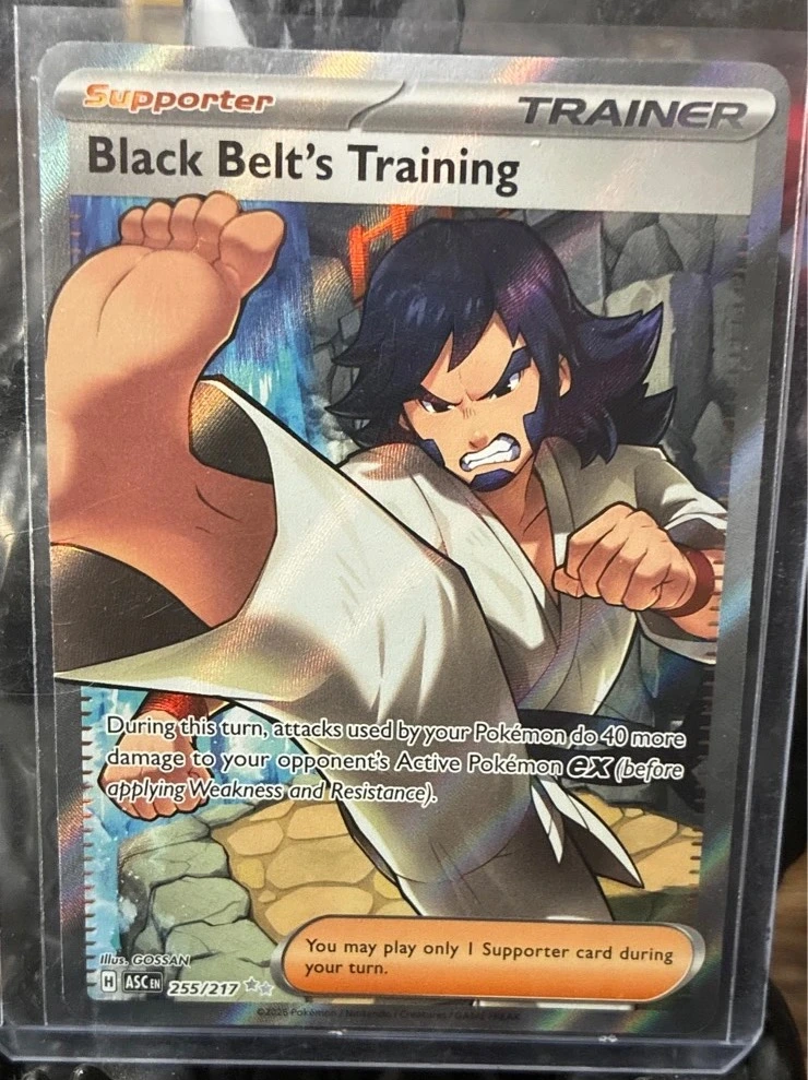 Black Belt's Training - ME: Ascended Heroes #255/217