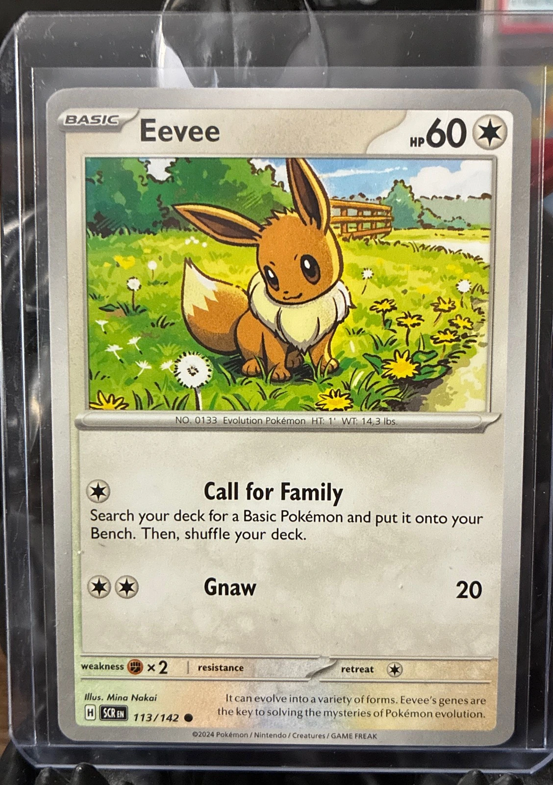 Eevee Stellar  Crown