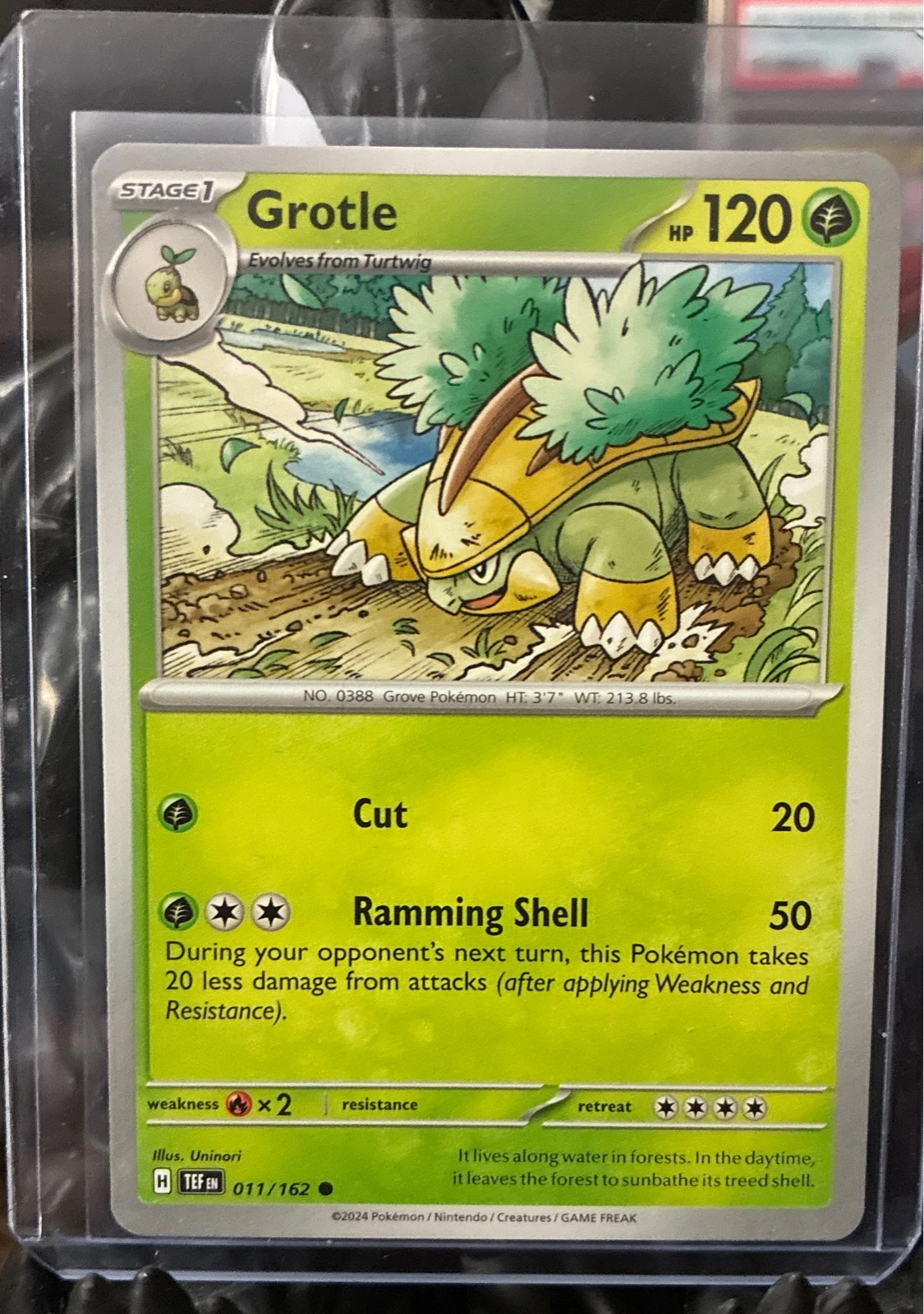 Grotle - Temporal Forces #011/162