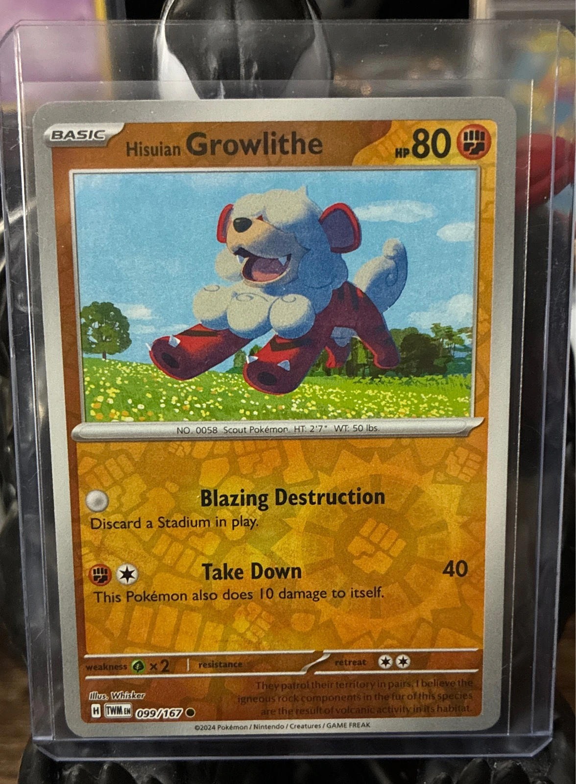 Hisuian Growlithe - Twilight Masquerade #099/167