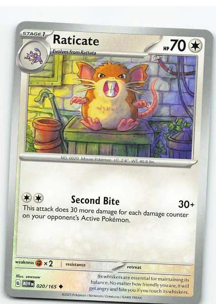 Raticate 020/165 - Scarlet & Violet—151 #020/165