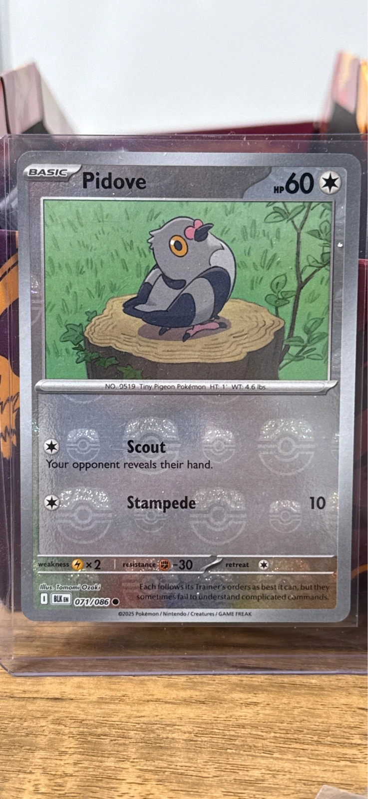 Pidove - BLK EN MasterBall #071/086