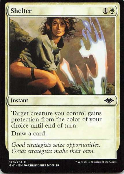 Shelter - Modern Horizons #028/254