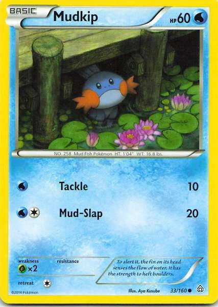 Mudkip - Pokémon #33/160