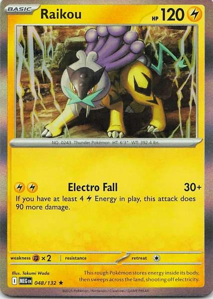 Raikou - Unknown #048/132