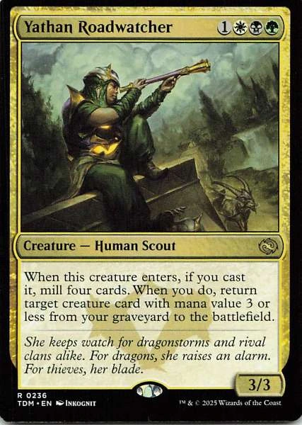 Yathan Roadwatcher - TDM #0236