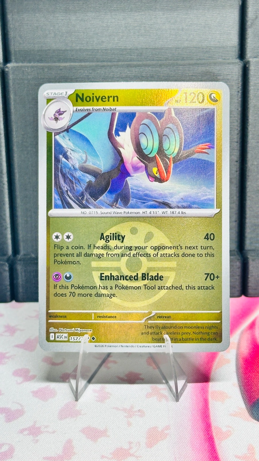 Noivern #157 (friend ball) - Ascended Heroes