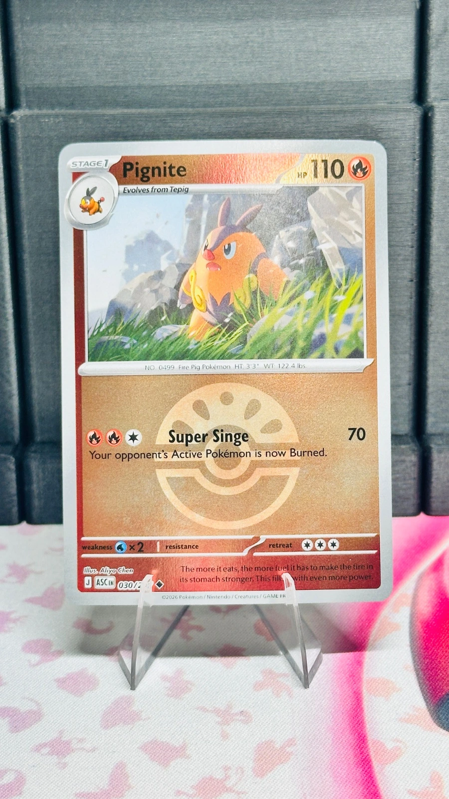 Pignite #030 (friend ball)