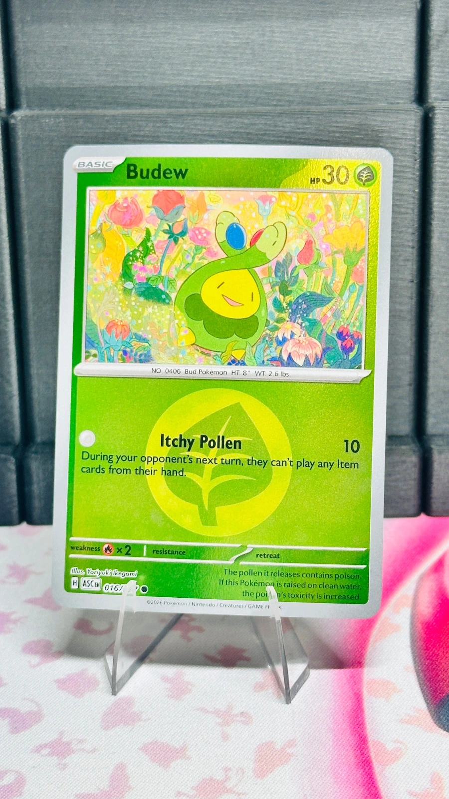 Budew #016 (energy symbol) - Ascended Heroes