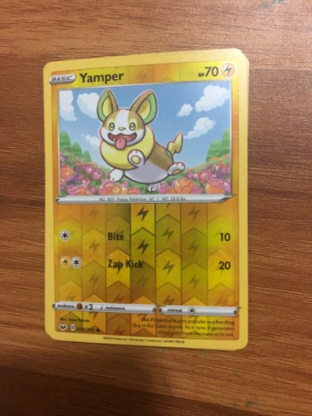 Yamper - Sword & Shield Base Set #074/202