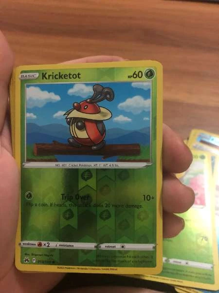 Kricketot - Darkness Ablaze #013/192