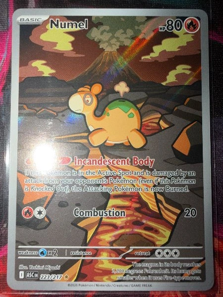 Numel - Ascended Heroes #223/217