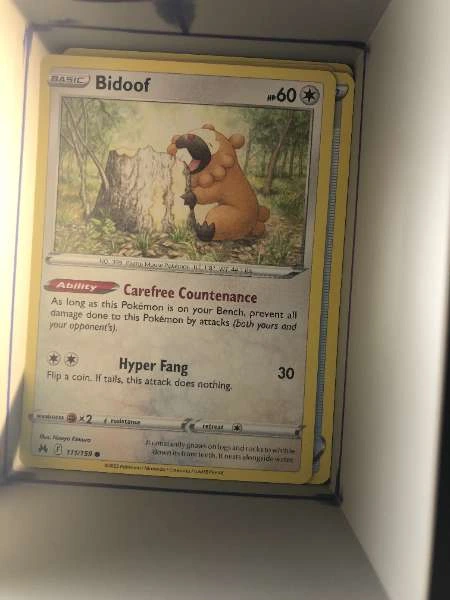 Bidoof - Crown Zenith #111/159