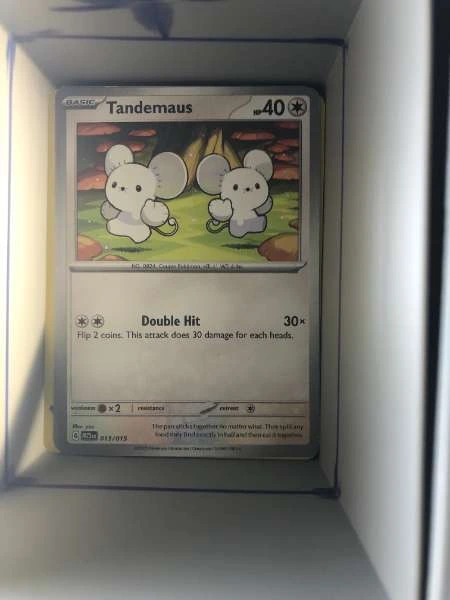 Tandemaus #013/019
