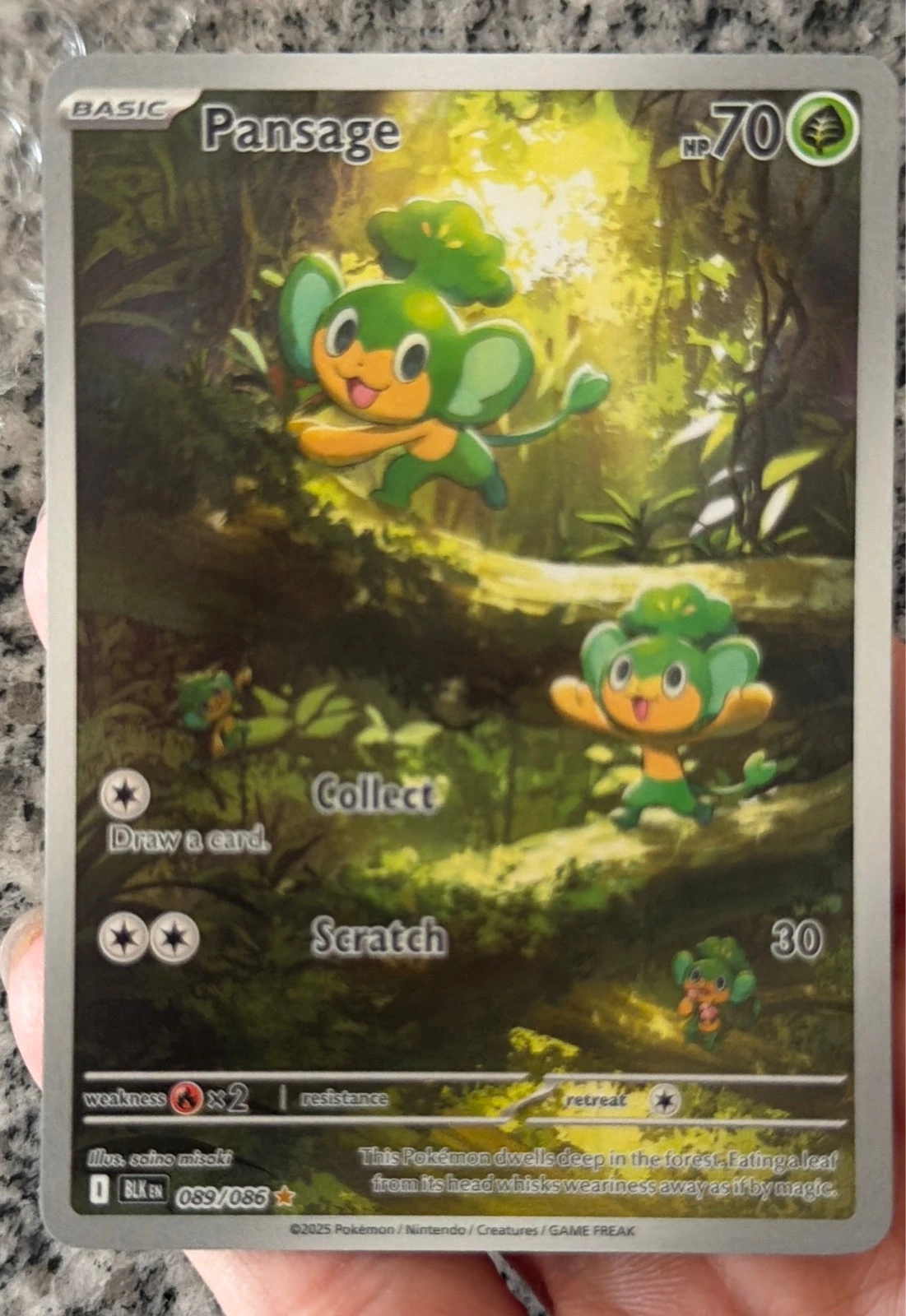 Pansage - Black Bolt #089/086