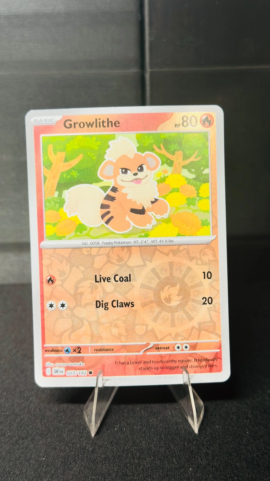 Growlith (rev-holo) - Destined Rivals