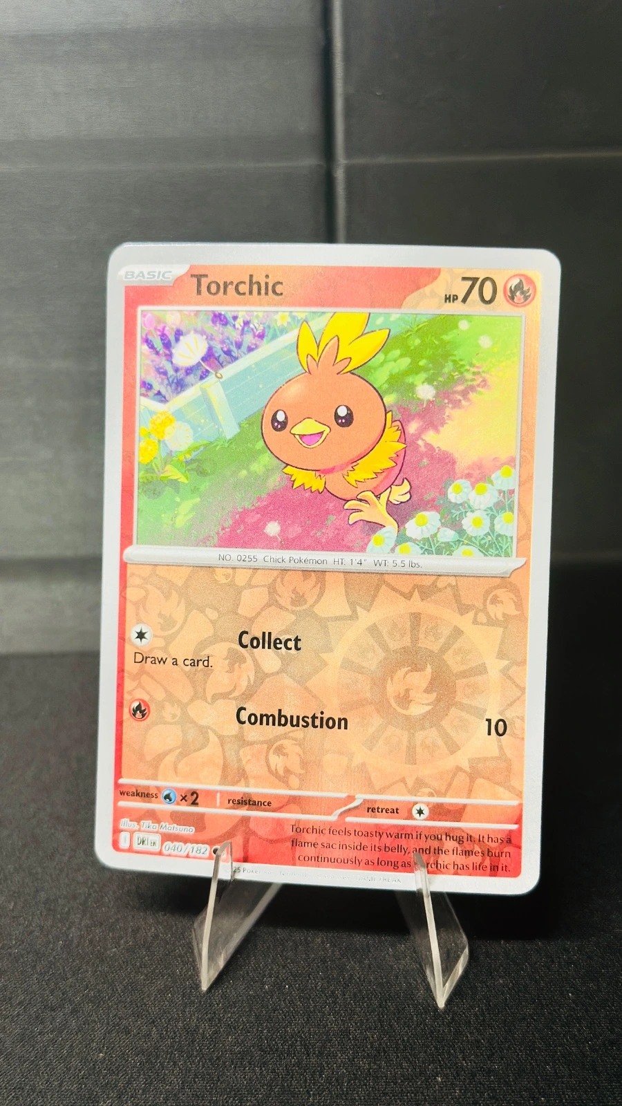 Torchic (rev-holo) - Destined Rivals