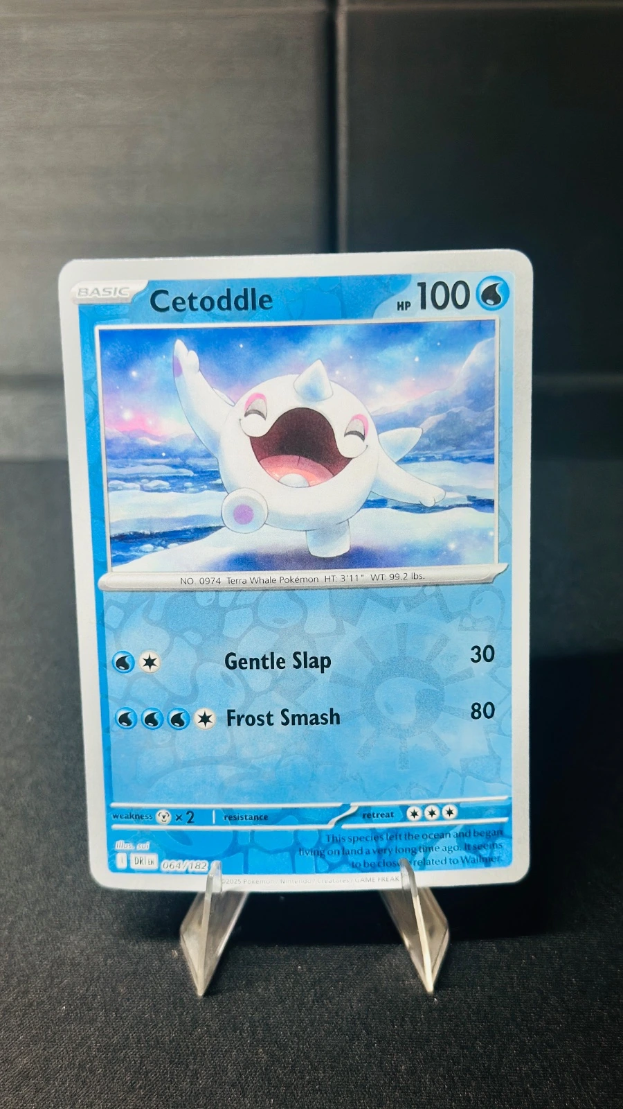 Cetoddle (rev-holo) - Destined Rivals