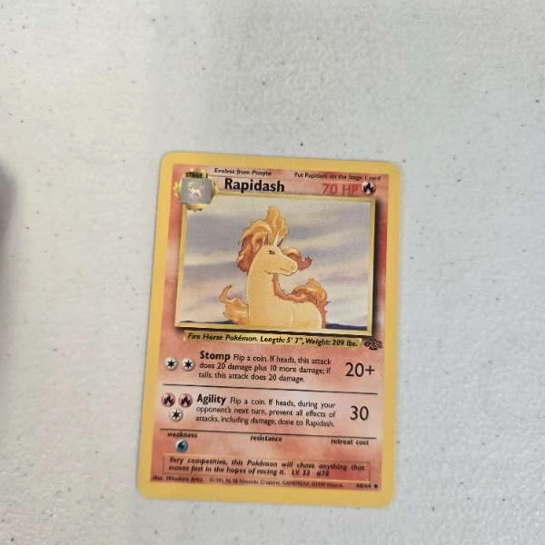 Rapidash - Jungle #44/64