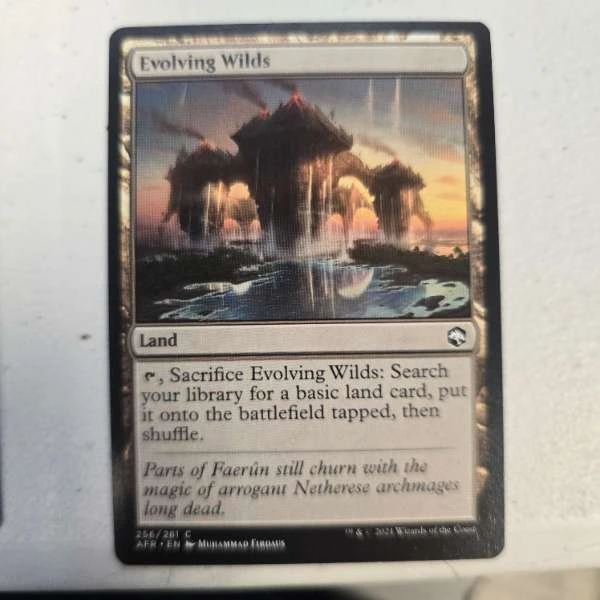 Evolving Wilds - Adventures in the Forgotten Realms #256/281