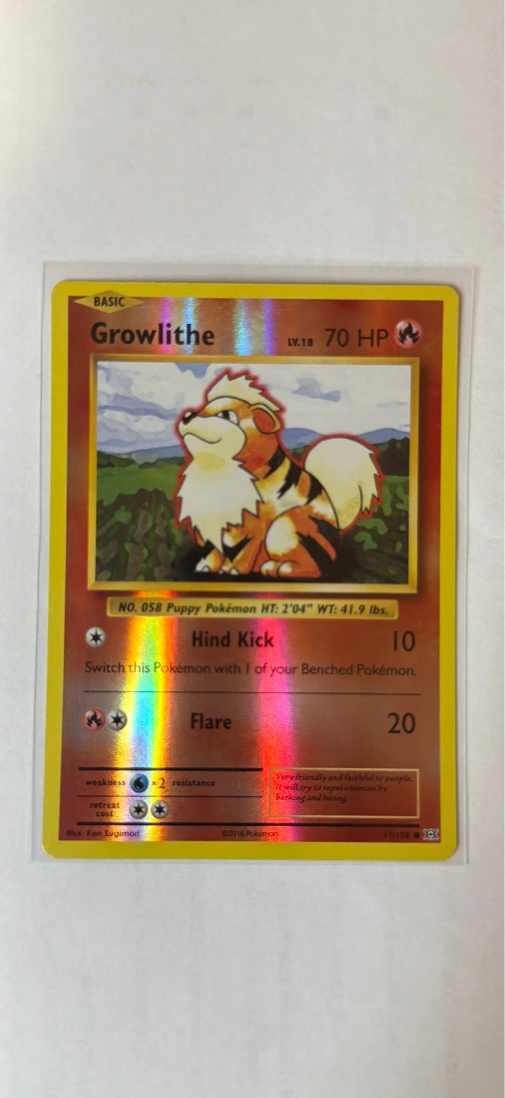Growlithe - XY Evolutions #17/108