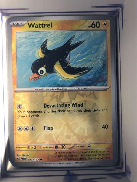 Wattrel - Paldea Evolved #081/193