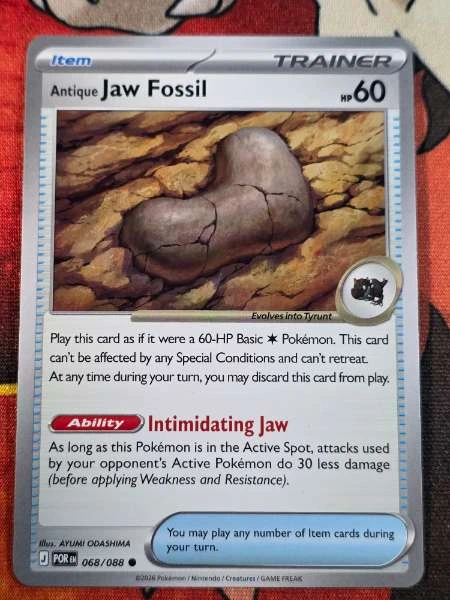 Antique Jaw Fossil - Perfect Order #068/088