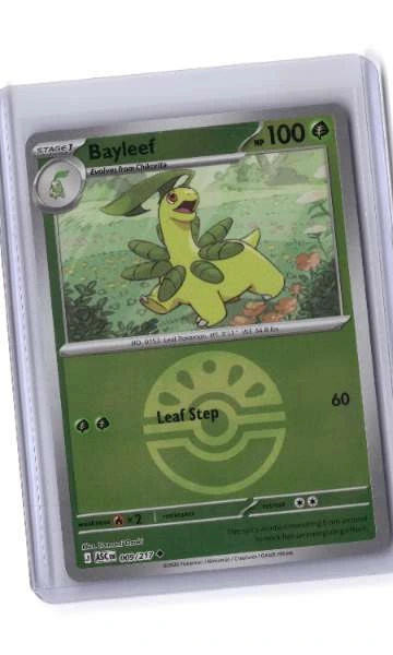 Bayleef - Ascended Heroes #009/217