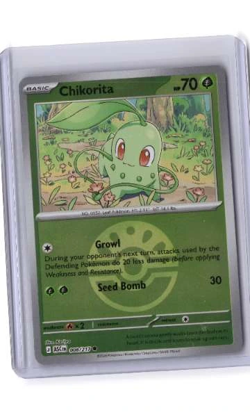 Chikorita - Ascended Heroes #008/217