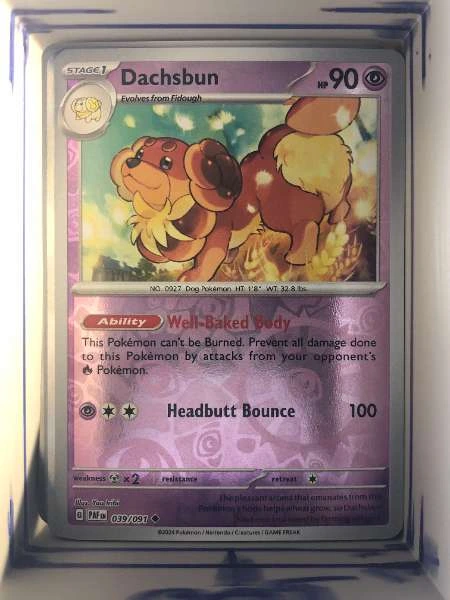 Dachsbun - Paldean Fates #039/091