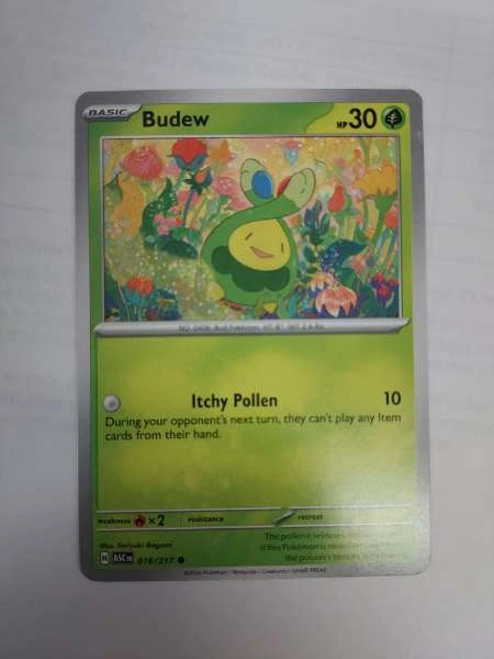 Budew - Ascended Heroes #016/217