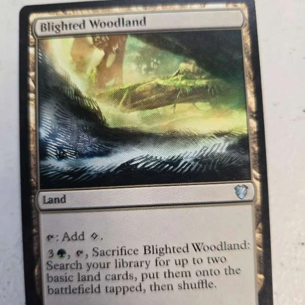 Blighted Woodland - Battle for Zendikar #233