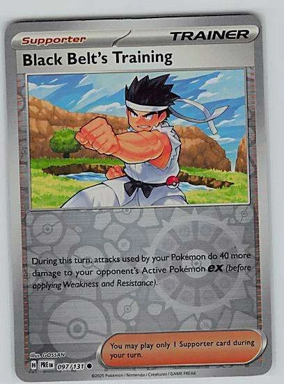 Black Belt's Training - Reverse Holo #097/131