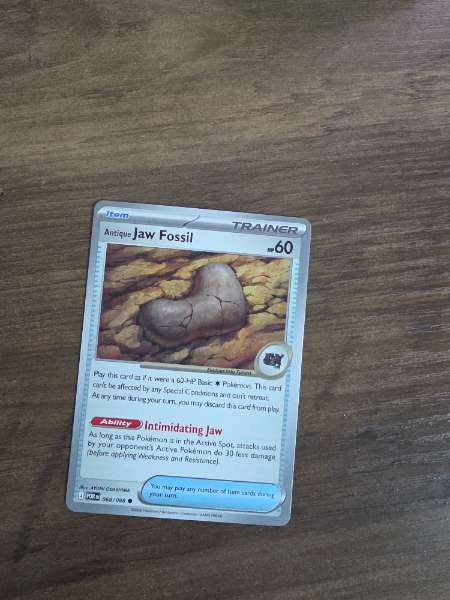 Antique Jaw Fossil - Perfect Order #068/088