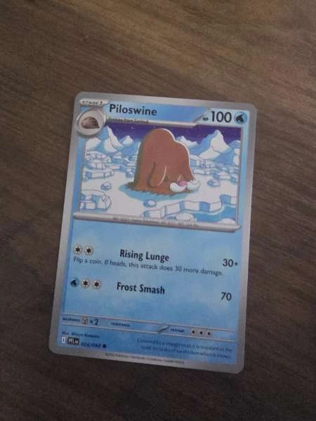 Piloswine - Paradox Rift #024/068