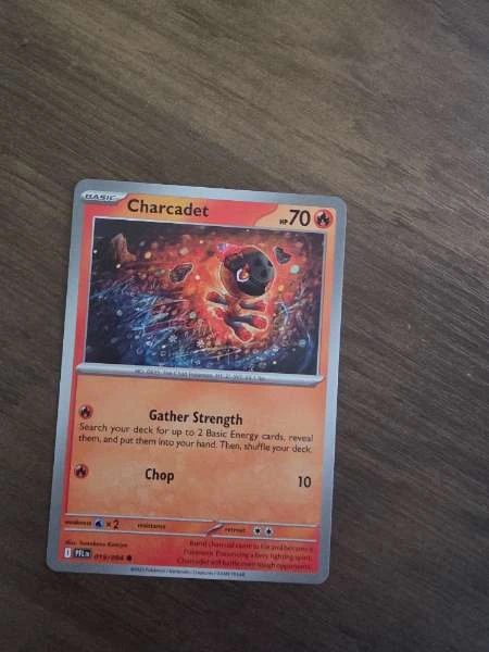 Charcadet - Paldea Evolved #019/204