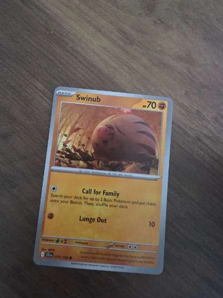 Swinub - Battle Partners #077/189