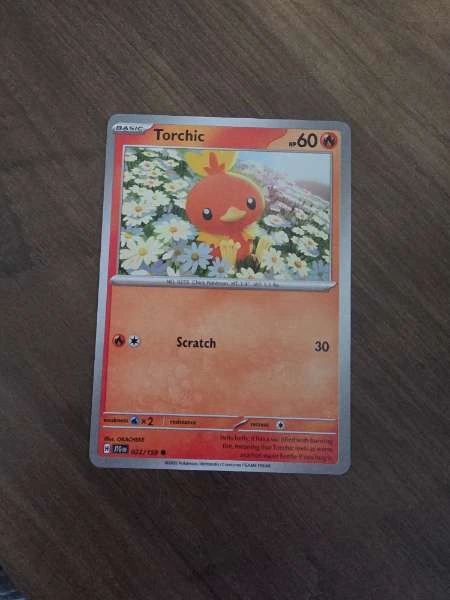 Torchic - Journey Together #022/159