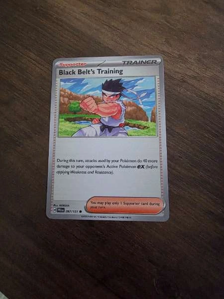 Black Belt's Training - Forbidden Light #087/131