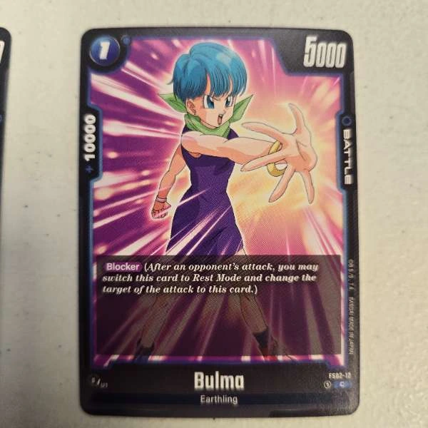 Bulma #FS02-12