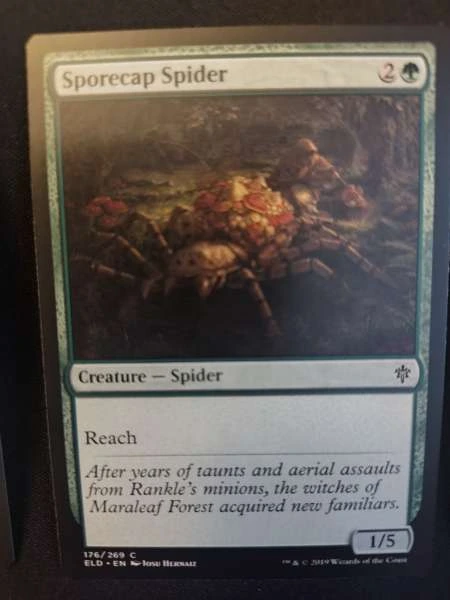 Sporecap Spider - Throne of Eldraine #176/269