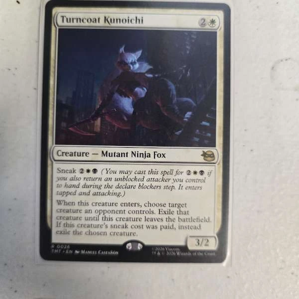 Turncoat Kunoichi - Teenage Mutant Ninja Turtles #0026