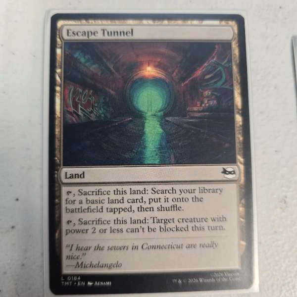 Escape Tunnel - Secret Lair x Teenage Mutant Ninja Turtles #0184