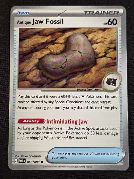 Antique Jaw Fossil - Perfect Order #068/088