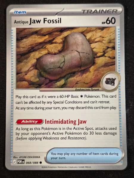 Antique Jaw Fossil - Perfect Order #068/088